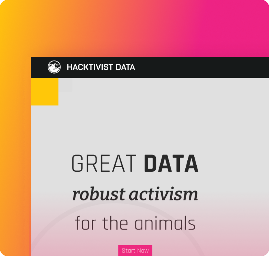 Mock-up for the project Hacktivist Data, snippet of a regular screen, in front of a gradient orange-pink background. The screen displays the hero section and states  "Great Data robust activism for the animals". Below this text one can see a pink button with the CTA "start now". 
